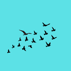 A clean vector set of flying bird silhouettes, capturing freedom and grace—perfect for tattoos and nature art.