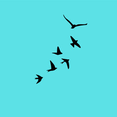 A clean vector set of flying bird silhouettes, capturing freedom and grace—perfect for tattoos and nature art.