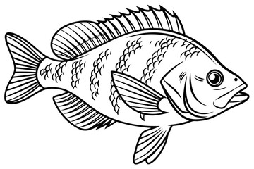 coloring page line art the bluegill black vector