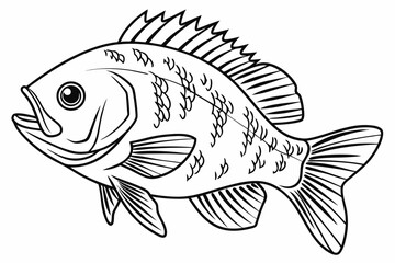 coloring page line art the bluegill black vector