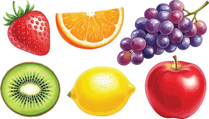 watercolor illustration of Fruits 