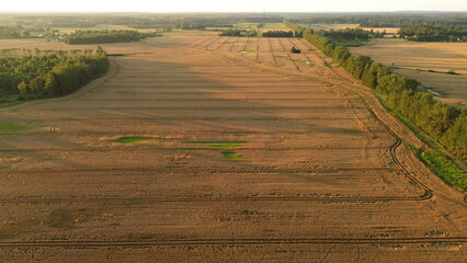 Obraz premium Drone Shot of Forestry Equipment, Harvester and Forwarder Agroculture