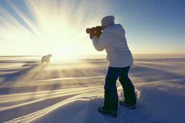 Wildlife Photographer Captures Polar Bear in Arctic Sunrise
