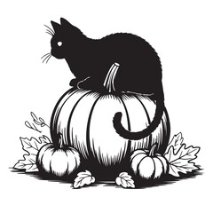 Black Cat Silhouette On Pumpkin With Leaves sitting