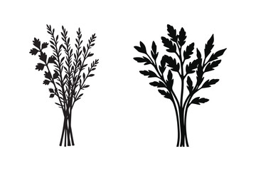 Two silhouette bouquets of delicate greenery and leaves