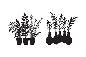 Silhouette of potted plants and vases with branches on white background