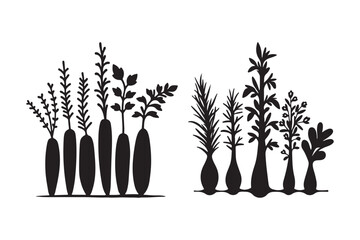 Silhouette of various plants in vases on a white background