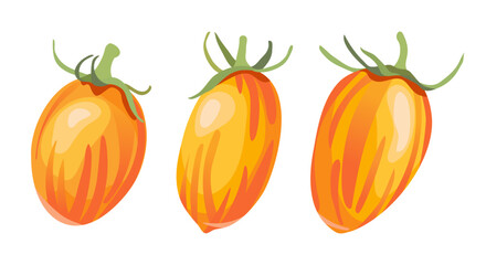 Blush Tomato, Artisan Blush Tiger, Yellow Tomato, Cherry Tomato, Striped Tomato, Hand Drawn Vector Illustration, Isolated, Set