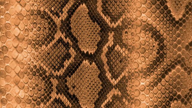 Snake skin texture pattern in warm brown tones