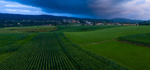 An aerial drone view of cornfields and the neo-Gothic Church of San Pedro Ad enlace in the town of C&oacute;breces, in the municipality of Alfoz de Loredo. C&oacute;breces, Cantabria, Spain, Europe