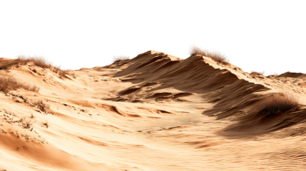 Desert landscape sand dunes sparse vegetation white bushes