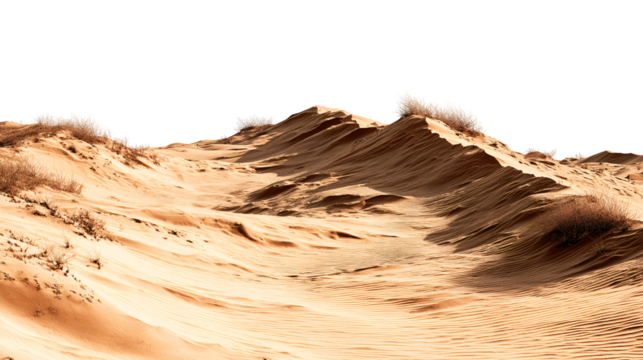 Desert landscape sand dunes sparse vegetation white bushes