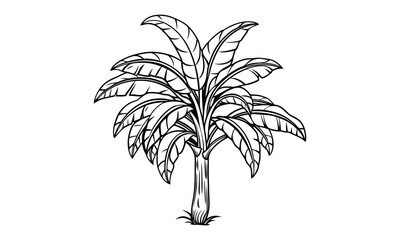 Obraz premium Banana tree t shirt design silhouette and vector line art Tropical Banana Tree Silhouette Perfect for Tees & Prints