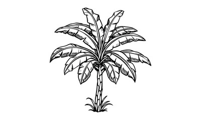 Banana tree t shirt design silhouette and vector line art Tropical Banana Tree Silhouette Perfect for Tees & Prints