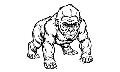 Gorilla t shirt design silhouette and vector line art Editable Gorilla Line Drawing for Shirts, Stickers & Prints