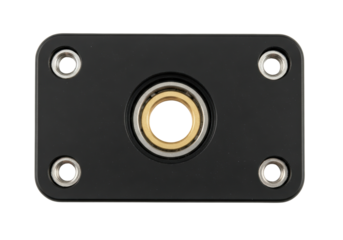 Black Rectangular Flange Bearing Block with Brass Centre
