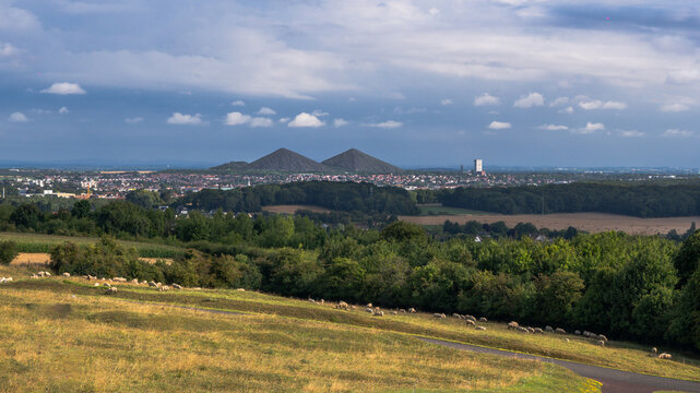 Panorama of Artois with the slag heaps. View of the Vimy Memorial.