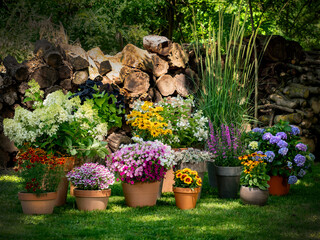 Flowers in pot