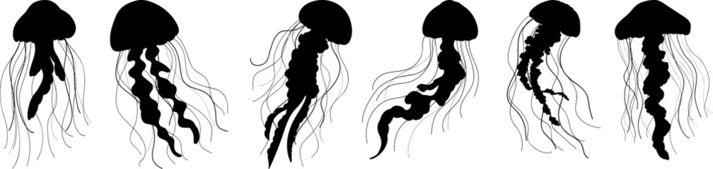 jellyfish silhouette, vector