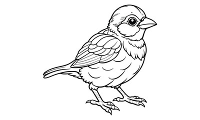 Obraz premium Sparrow t shirt design silhouette and vector line art Nature-Themed Sparrow Graphic for Outdoor and Relaxed Styles