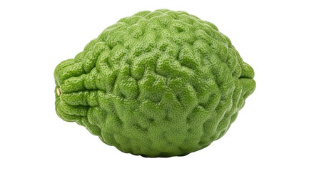 Isolated Kaffir lime