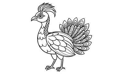 Peacock t shirt design silhouette and vector line art Colorful Peacock Graphic for Elegant and Casual Wear
