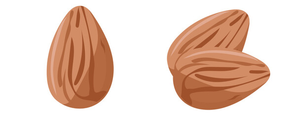 almond nut,cartoon ,whimsicle 