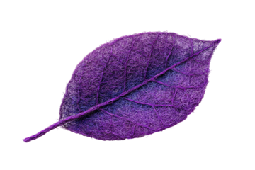 A vibrant, purple leaf with intricate veins