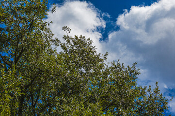 Wolken und Himmel