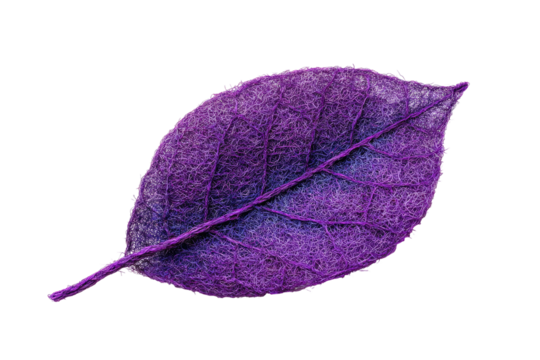 A vibrant, purple leaf with intricate veins