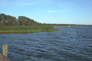Stettiner Haff bei Kamminke