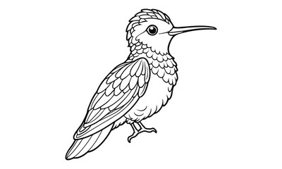 Hummingbird t shirt design silhouette and vector line art Vibrant Hummingbird Graphic for Casual and Eco-Friendly Wear