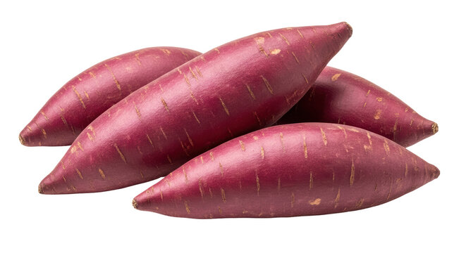 Isolated Pile of Purple Sweet Potatoes