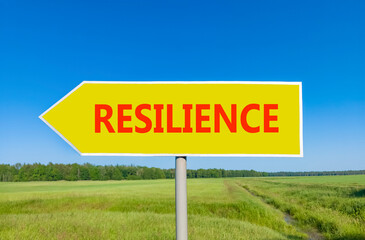 Resilience symbol. Concept word Resilience on beautiful yellow road sign. Beautiful blue sky green grass and forest peaceful nature background. Business resilience concept. Copy space.