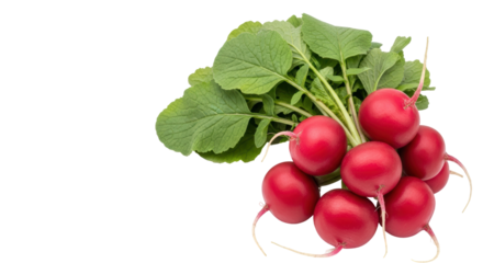 Isolated Radishes