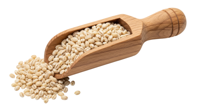 Isolated spoon of pearl barley