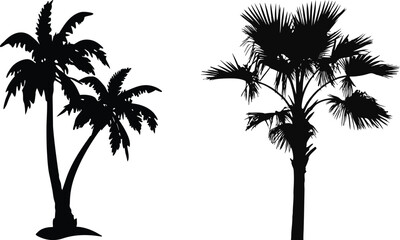 Fototapeta premium Palm Tree Silhouette Vector – Tropical Tree Icon in Black and White on Transparent Background