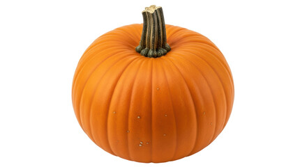 Isolated Ripe Orange Pumpkin