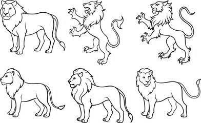 Lion Head Line Art Vector