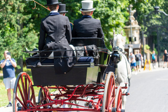 Horse-drawn carriage in a traditional driving competition, with coachman and passengers dressed in elegant interwar-era style outfits.