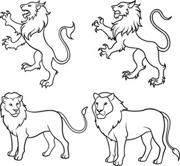 Lion Head Line Art Vector