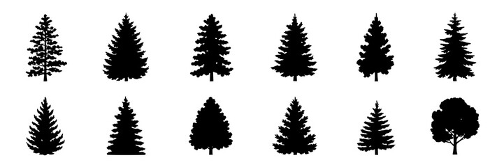 Obraz premium Set of twelve black silhouette illustrations of fir trees and deciduous tree. Monochrome vector graphic collection of various conifer and broadleaf tree shapes, design elements for nature, forest, and