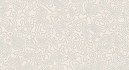 Fototapeta premium An abstract topographic map pattern with intricate contour lines