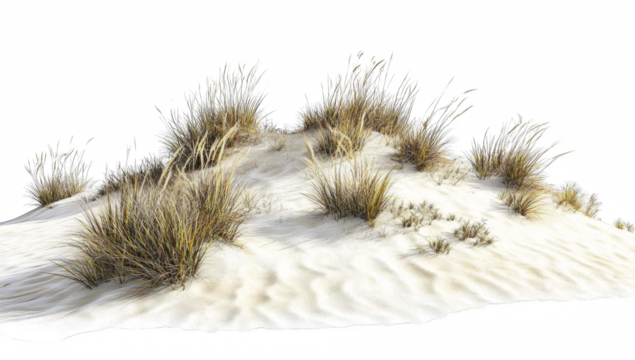 Serene sand dune with wild grass, perfect for coastal designs and layouts