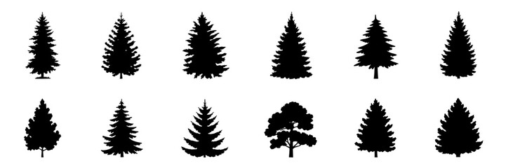 Fototapeta premium Set of twelve black silhouette illustrations of fir trees and one deciduous tree. Vector graphic collection, monochrome, isolated trees for design elements, nature themes, and holiday projects. Simple