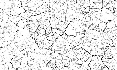 Obraz premium Cracked Dry Texture Pattern Depicting Natural Drought and Surface Deformation creating a complex and visually striking surface texture representation ground.