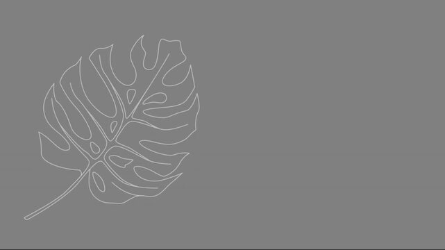 podkład, tekstura, sceneria, wystr&oacute;j, ilustracja