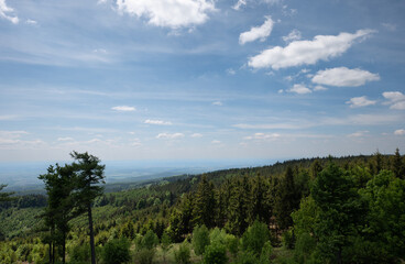 Hilly forest landscape under blue summer sky
