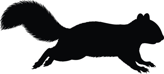 Black squirrel silhouette running