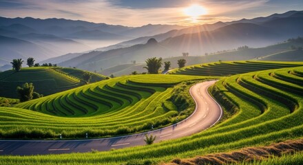Lush terraced rice paddies meet a winding road at sunrise